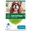 <b>Bayer</b> Advantage II Topical Flea Treatment For Medium Size Dogs