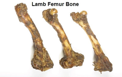 Jones Natural Chews Lamb Femur Bone Dog Treat