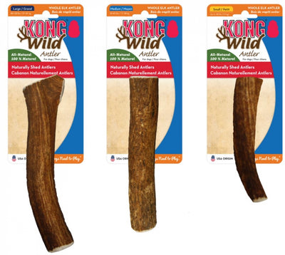 KONG Wild All-Natural Whole Elk Antler for Dogs