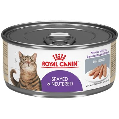 Royal Canin Feline Health Nutrition Spayed/Neutered Loaf in Sauce Canned Cat Food