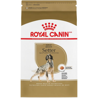 Royal Canin Breed Health Nutrition Adult Setter Dry Dog Food