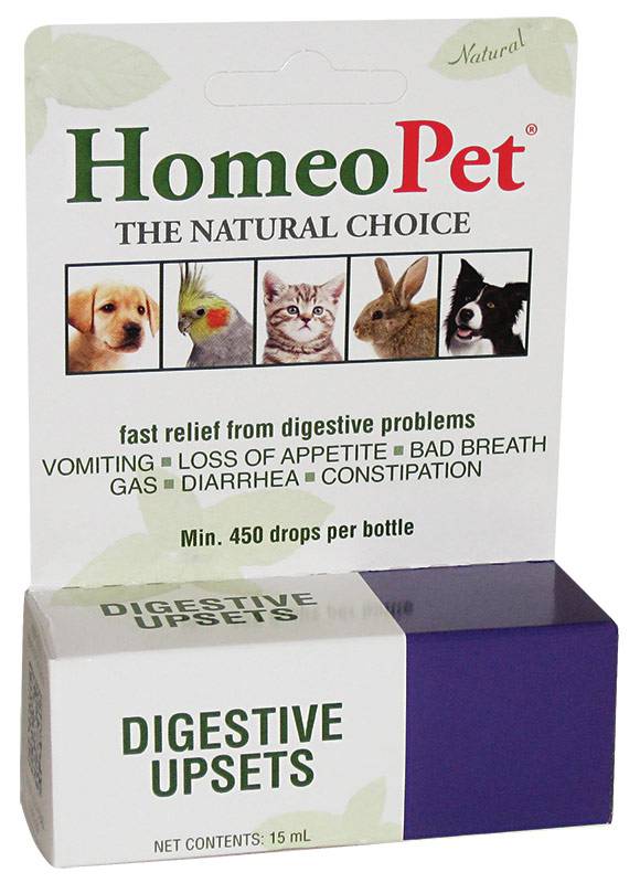 HomeoPet Digestive Upsets Relief Supplement for Dogs,Cats,Small Animals & Birds - 450 Drops